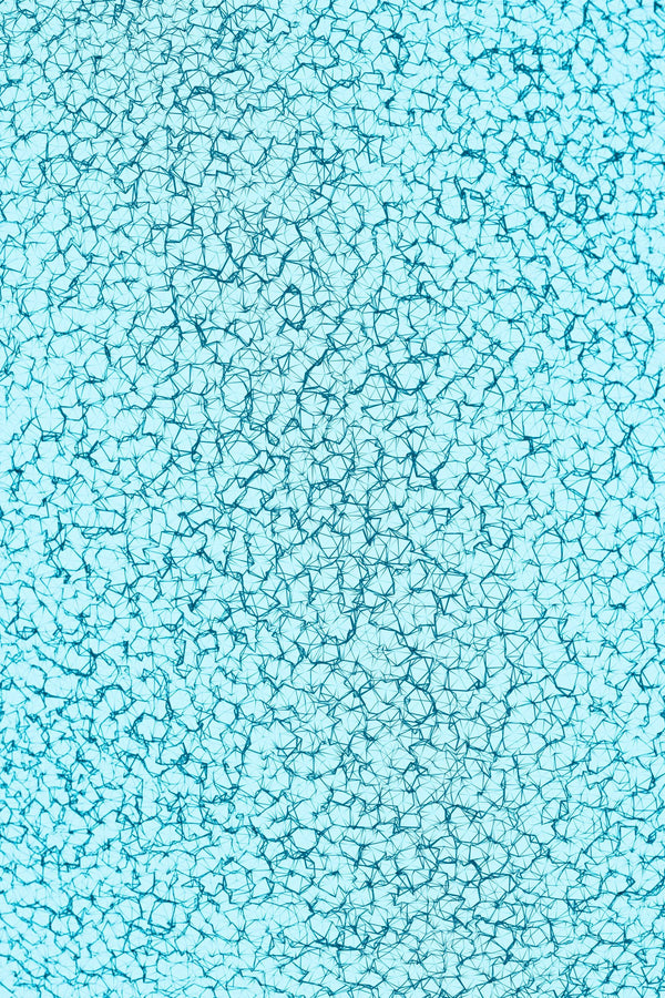 Inflammation chronique : comprendre son rôle dans le vieillissement cellulaire