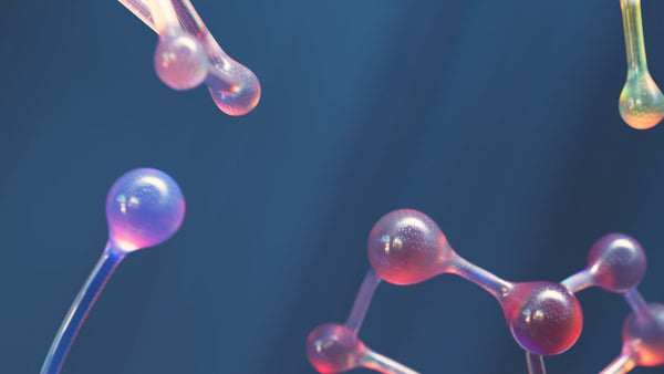 NAD+ : la molécule de l'énergie cellulaire