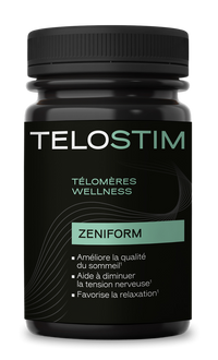 Zeniform - vue 6